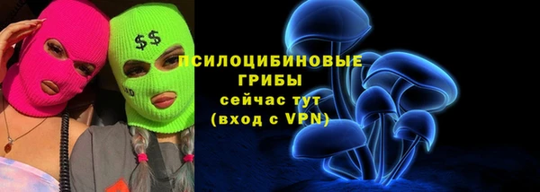 a pvp Алексеевка