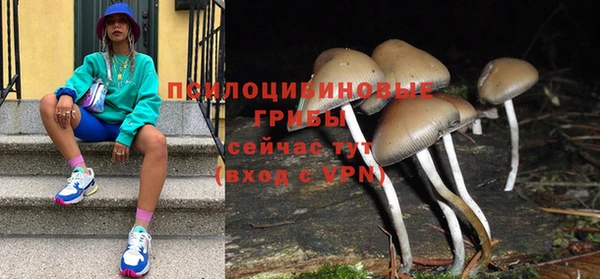 a pvp Алексеевка