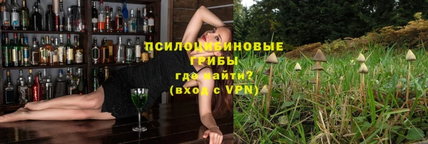 apvp Семилуки